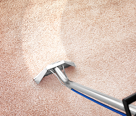 Carpet and hard floor cleaning