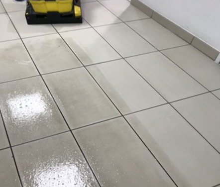 Carpet and hard floor cleaning