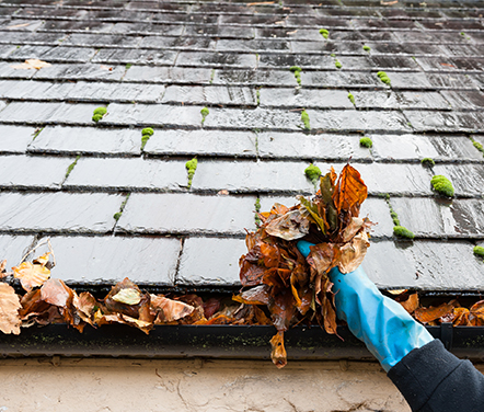 Gutter cleaning and clearance